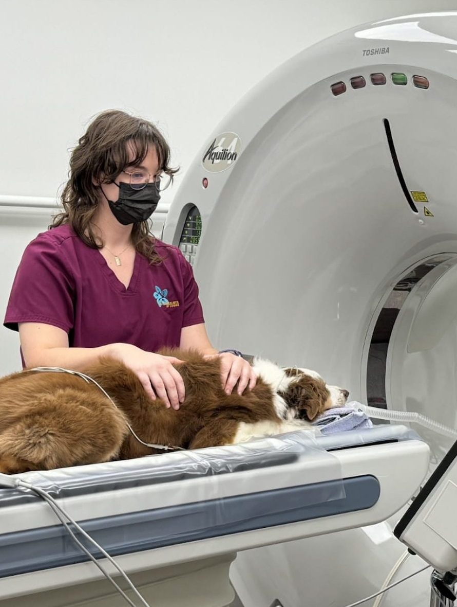 Pet Specialists of Hawaii